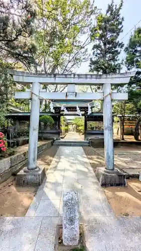 白幡天神社の鳥居