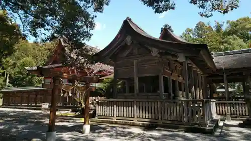 土佐神社の本殿