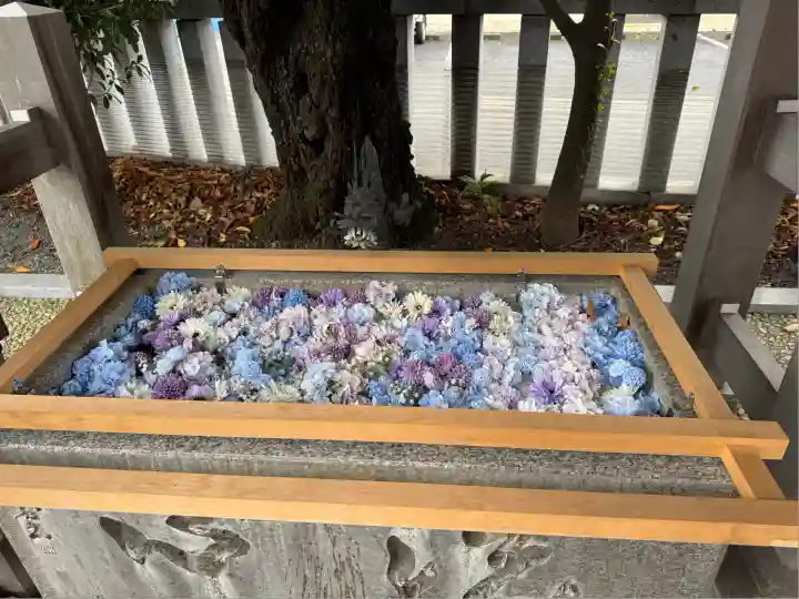 伊勢原大神宮(神奈川県)