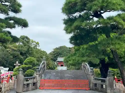 鶴岡八幡宮の景色