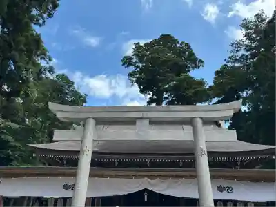 鹿島神宮(茨城県)