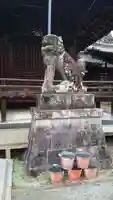向日神社の狛犬