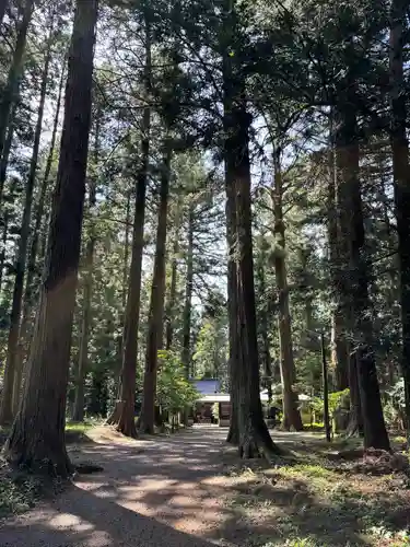 小生瀬 諏訪神社(茨城県)