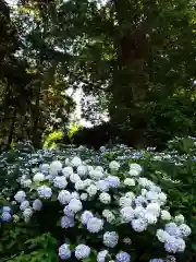 吉備津神社の庭園