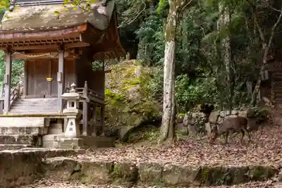 瀧宮神社(広島県)