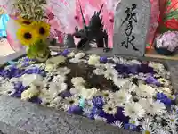 札幌諏訪神社の手水舎