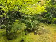 西明寺(京都府)