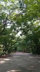 河合神社（鴨川合坐小社宅神社）の自然