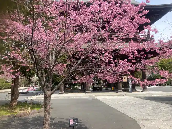 建長寺(神奈川県)