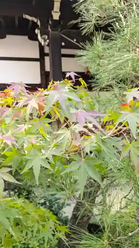 宝蔵寺(京都府)