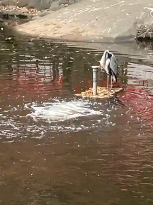 平塚八幡宮(神奈川県)