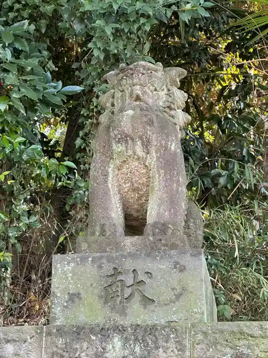 代々木八幡宮の狛犬