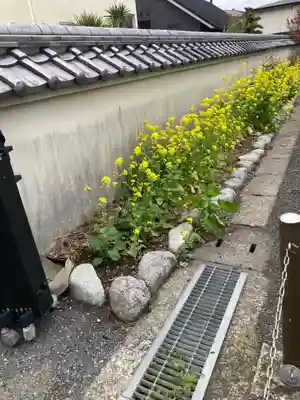 光明寺(神奈川県)