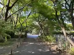 高円寺(東京都)