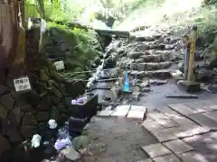 太平山神社の自然