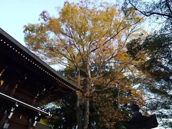 速谷神社(広島県)