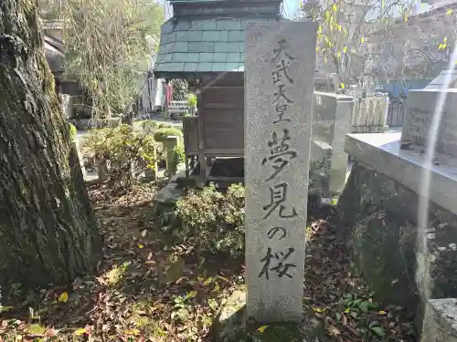 櫻本坊のその他建物