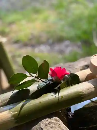 鹿島大神宮の御朱印
