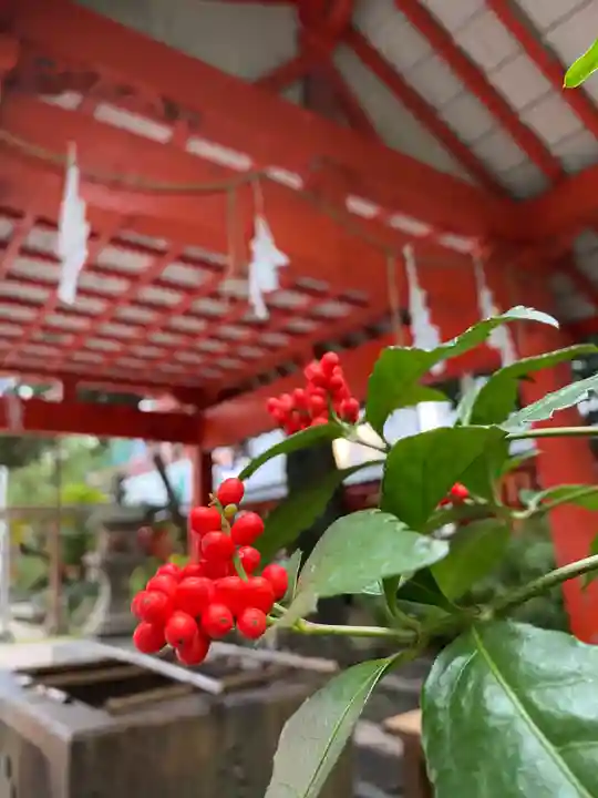 水鏡天満宮の自然
