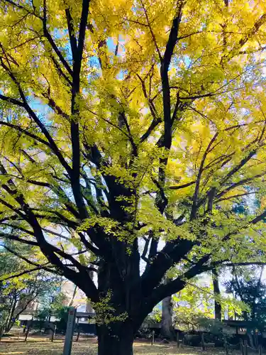 西念寺(茨城県)