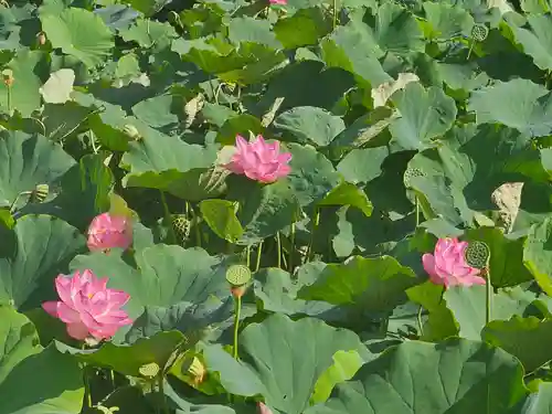 善光寺大勧進(長野県)