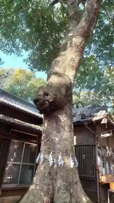 氷川女體神社(埼玉県)
