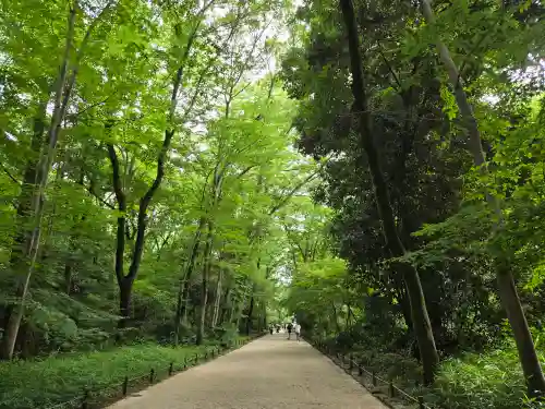 賀茂御祖神社（下鴨神社）(京都府)