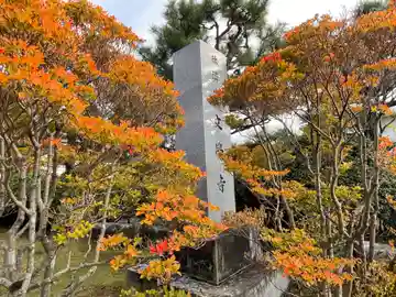 文覚寺のその他建物