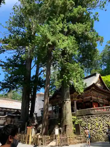 三峯神社(埼玉県)