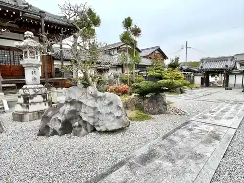 浄宗院の庭園