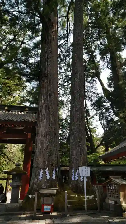 日光二荒山神社の自然