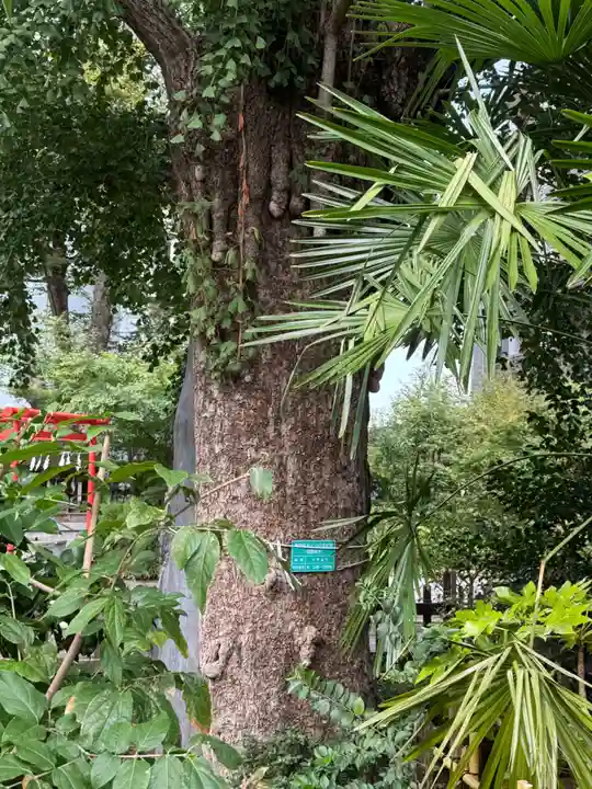 成子天神社(東京都)