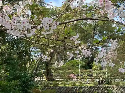 宮山神社の{uncategorized: "未分類", other: "その他", undefined: "問題あり", building: "その他建物", grave: "お墓", sacred_gate: "鳥居", guardian: "狛犬", statue: "像", buddha: "仏像", history: "歴史", nature: "自然", garden: "庭園", animal: "動物", pagoda: "塔", temizu: "手水舎", mountain_gate: "山門・神門", sanctuary: "本殿・本堂", subordinate: "末社・摂社", art: "芸術", scenery: "景色", jizo: "地蔵", ema: "絵馬", goshuin: "御朱印", omikuji: "おみくじ", items: "授与品その他", amulet: "お守り", goshuincho: "御朱印帳", eats: "食事", festival: "お祭り", votive_dance: "神楽", shichigosan: "七五三参", wedding: "結婚式", experience: "体験その他", initially: "初詣", around: "周辺", anti_infection: "感染症対策"}