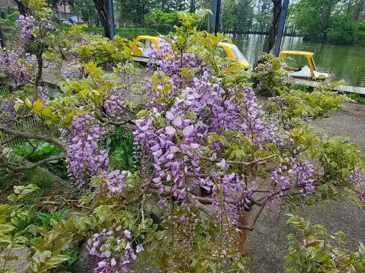 涌釜神社(栃木県)