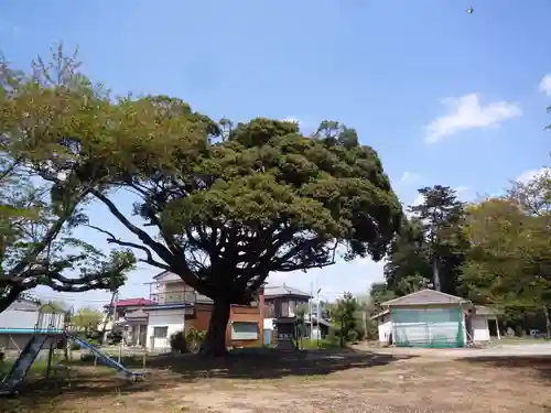 白山神社のその他建物