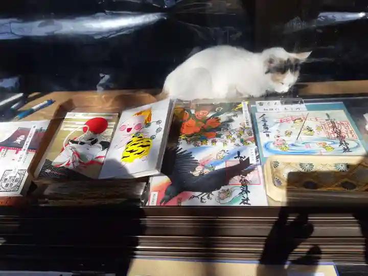 加茂別雷神社の動物