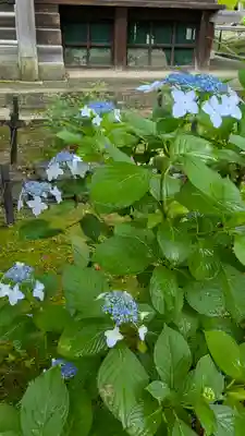 真正極楽寺(真如堂)(京都府)
