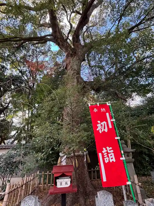 富部神社(愛知県)