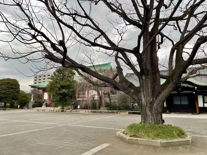 吉祥寺(東京都)
