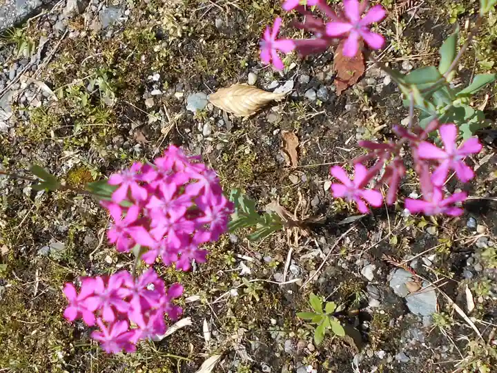 小名浜鹿島神社の自然