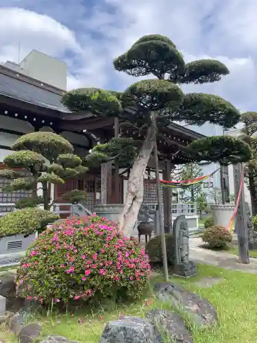惠明寺(東京都)