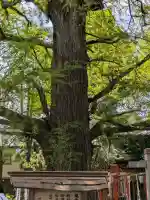 武芳稲荷神社の{uncategorized: "未分類", other: "その他", undefined: "問題あり", building: "その他建物", grave: "お墓", sacred_gate: "鳥居", guardian: "狛犬", statue: "像", buddha: "仏像", history: "歴史", nature: "自然", garden: "庭園", animal: "動物", pagoda: "塔", temizu: "手水舎", mountain_gate: "山門・神門", sanctuary: "本殿・本堂", subordinate: "末社・摂社", art: "芸術", scenery: "景色", jizo: "地蔵", ema: "絵馬", goshuin: "御朱印", omikuji: "おみくじ", items: "授与品その他", amulet: "お守り", goshuincho: "御朱印帳", eats: "食事", festival: "お祭り", votive_dance: "神楽", shichigosan: "七五三参", wedding: "結婚式", experience: "体験その他", initially: "初詣", around: "周辺", anti_infection: "感染症対策"}