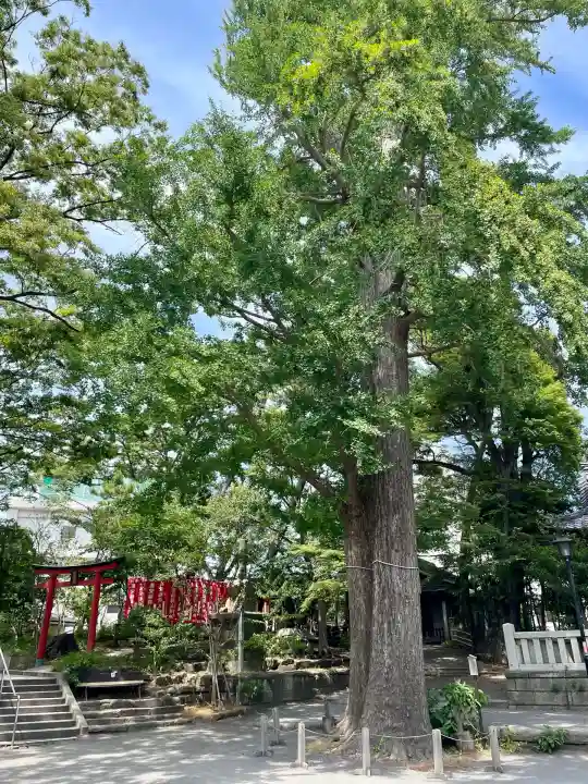亀岡八幡宮(亀岡八幡神社)(神奈川県)
