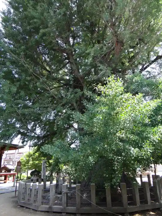 飛騨国分寺(岐阜県)