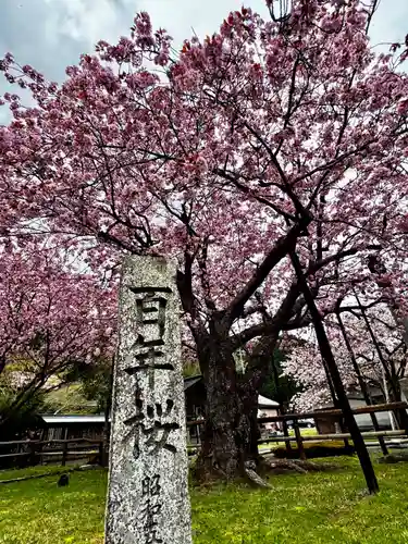 春日神社(京都府)