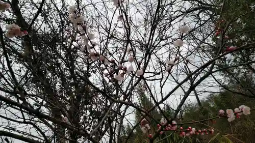 五流尊瀧院の自然