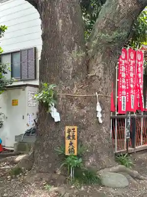 笠䅣稲荷神社(神奈川県)