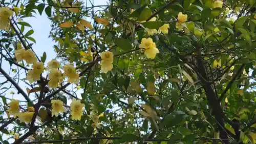 秩父神社(埼玉県)