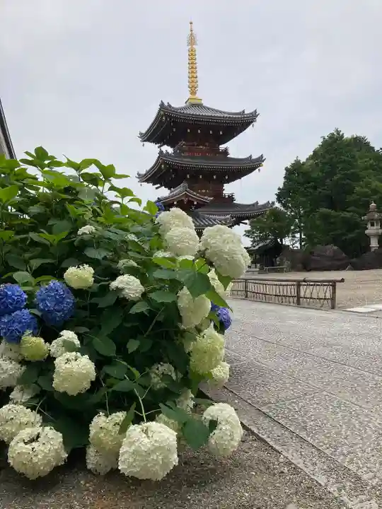 長慶寺(大阪府)