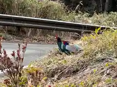 大宮温泉神社の動物